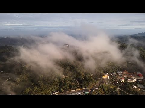 苗栗縣丨大湖鄉丨薑麻園休閒農業區丨空拍丨Mavic Air 2