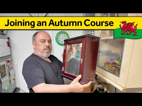 120. Learning New Skills - Living Alone in Wales (September 2024)