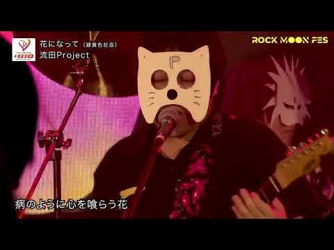 「花になって」 @ ROCK MOON FES2024