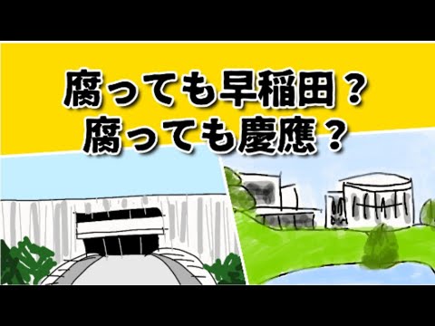 文系は早慶乱れうちをすべきではないか？文系の学部に拘りはいらない？ #鈴木さんちの貧しい教育 #大学受験