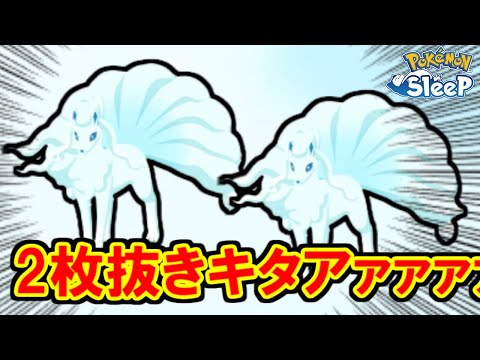 マスター２０ワカクサさいこおぉぉぉぉ！！！【ポケモンスリープ】