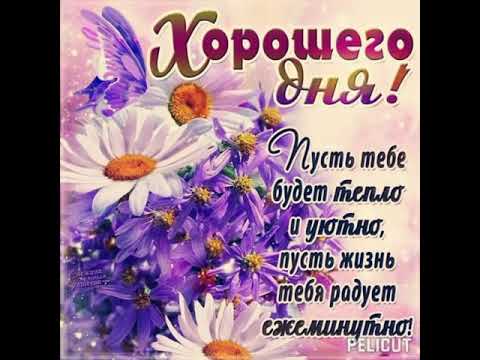 Добрый день! #позитив #открытка #хорошеенастроение #добрыйдень #осень