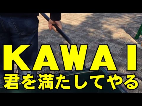 KAWAI「君を満たしてやる」