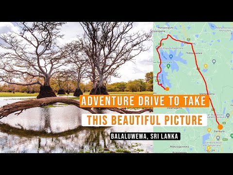 Adventure drive to this place, Balaluwewa Lake, Sri Lanka.