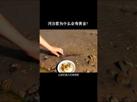 河沙里为什么会有黄金 #涨知识 #沙金 #快手科普