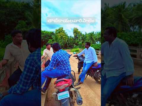 తాటికాయలవరిపాలెం #trendingshorts #palleturu #yt #viralmusic #naturelovers #godavari