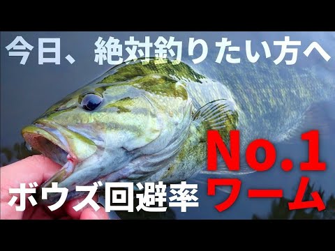 「バス釣り」安定の最強高比重ワームとダウンショットの絶妙コンボ「8月」「9月」「釣れるワーム」