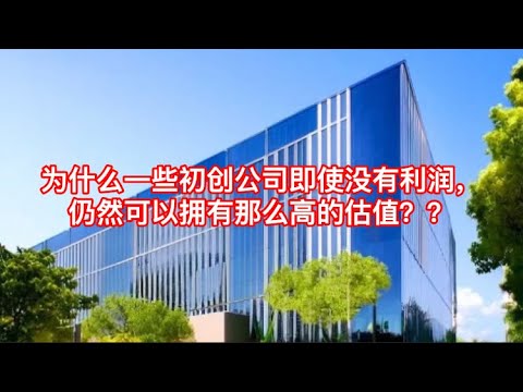 为什么初创公司即使没有利润，也会有那么高的估值呢？？