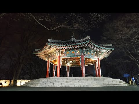 N Seoul Tower，韓國東大門市場、首爾塔與南山八角亭夜景