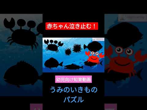 海の生き物パズル #shorts