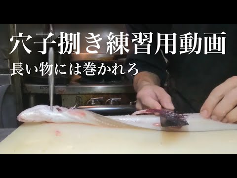 【長い物には巻かれろ】穴子捌き練習用動画