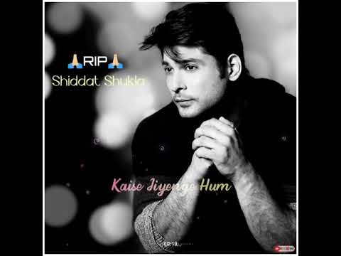 Siddharth Shukla RIP #siddharthshukla #siddharth_shukla_rip #RIP#ripstatus