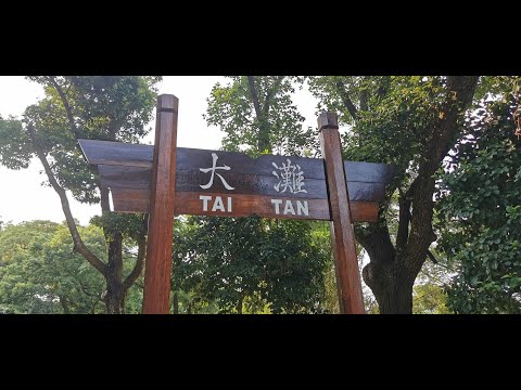 大灘營地 | Tai Tan Campsite!!