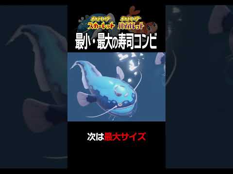 【大きさ比較】シャリタツ＆ヘイラッシャ編【ポケモンSV】#Shorts