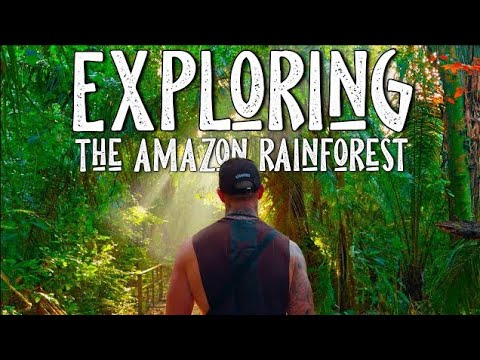 The Untamed Amazon: Wildlife, Waterfalls & Wild Adventures | Rainforest Reels | Film