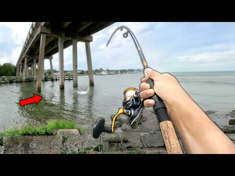 Eating Whatever I Catch.. Fishing UNDER the Bridge (Catch and Cook)