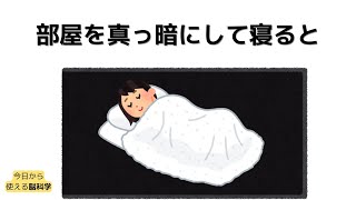 睡眠時間よりも大切なこととは？脳科学から睡眠を解説します。