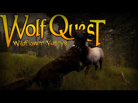 Wolf INTRUDERS and ELK Herds! | • 🐺🌼 WILDFLOWER VALLEYS • #19 • |