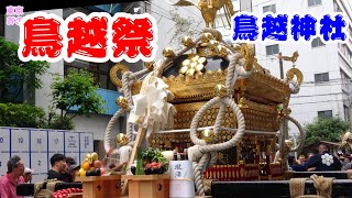 【鳥越祭】2024 鳥越神社鳥越まつりの千貫神輿が各町内を渡御。昼休憩後の渡御風景は、盛り上がる。最後に宮元の宮入あり。