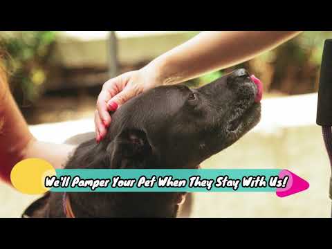 Diamonds in the Ruff - Pet Resort and Doggy Day Care in Abilene TX