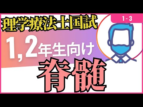 1-3　脊髄