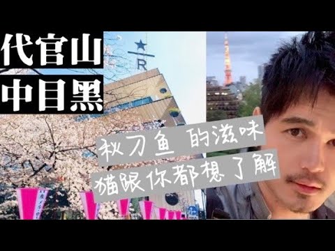 周杰倫 一段與侯佩岑的舊試之地 東京代官山 中目黑 遊散策  全球最大星巴克喝咖啡 目黑川散步