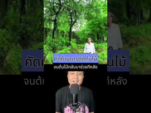 คัดค้านการตัดต้นไ้ม้ จนตอนหลังต้นไม้มาช่วยชุมชน #เรื่องเล่าต่างประเทศ #เล่าเรื่อง #เรื่องเล่ารอบโลก