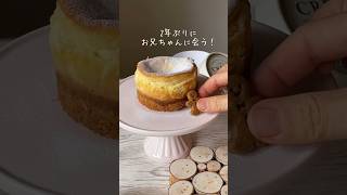 【感動】2年ぶりに会うお兄ちゃんリクエストのチーズケーキを作りました👀💕