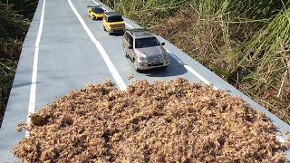 大量発生したカゲロウを車で轢くと…