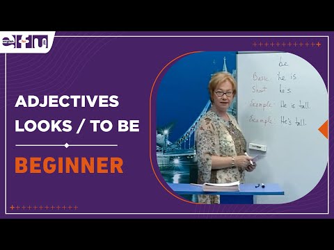 Let's Start English 17 - Adjectives / But | Beginner Levels