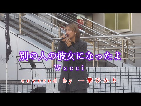 別の人の彼女になったよ / Wacci  covered by 《一華ひかり》※概要欄にツアー情報あり