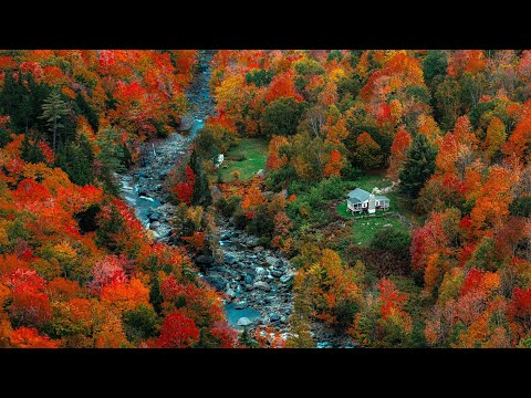 🍁 Epic New England Fall Foliage 🍂  Raw Peaceful Autumn Life in the American Countryside Compilation