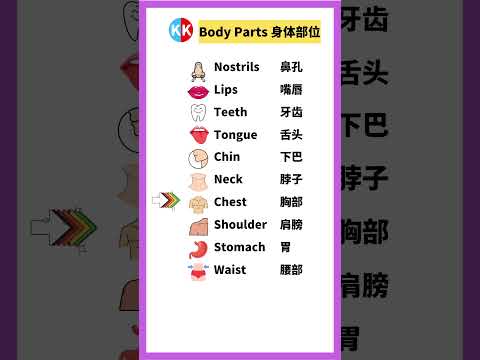 【零基礎英文】身體部位單詞 body parts #英文   #常用 英文 #單詞 口語 #常見短語 #常見短語