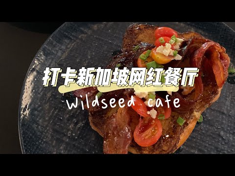 【新加坡探店Vlog】新加坡最火的法式Brunch Cafe🍰｜ Wildseed Cafe at Alkaff Mansion🌱｜纸钞屋主题bar台｜