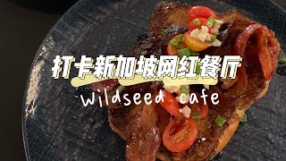 【新加坡探店Vlog】新加坡最火的法式Brunch Cafe🍰｜ Wildseed Cafe at Alkaff Mansion🌱｜纸钞屋主题bar台｜