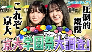 【さすが京大】学園祭「11月祭」に潜入！クセがすごいサークルからふーみん激推しのアイドルも！【wakatte TV】#983