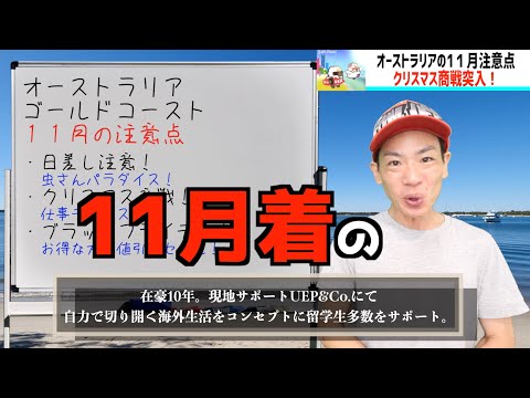 2024年11月やばいやつ来る。オーストラリアのゴールドコースト組ワーホリニュースレター！