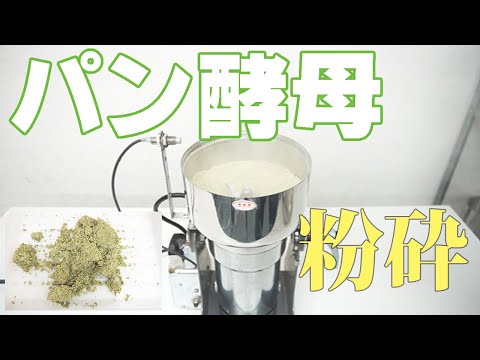 【酵母パウダー】パン酵母を粉砕（ハイスピードミル）