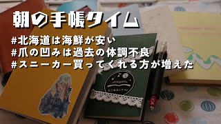 【手帳タイム】ほぼ日手帳WeeksMEGAスニーカーを推していく【測量野帳・ほぼ日手帳】　＃353