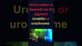 Learn more about your urine colour #urine_infection