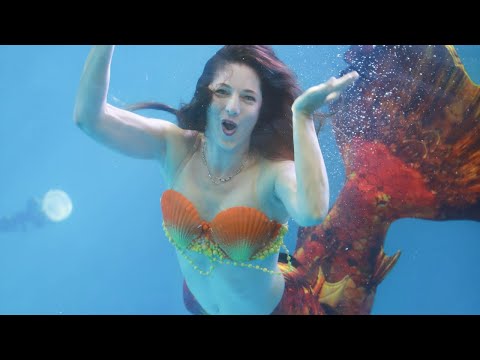 World Mermaid Championship Highlights