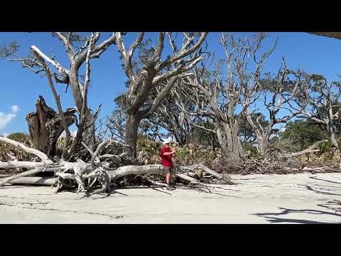 Ghosts of Jekyll Island, Randy "Windtalker" Motz, Native American style flute