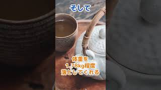 お茶の健康効果