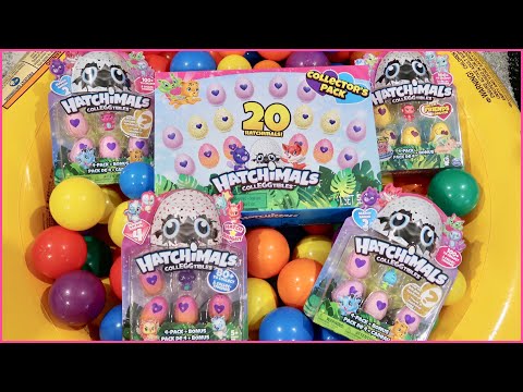 HATCHIMALS COLLEGGTIBLES COLLECTOR'S PACK