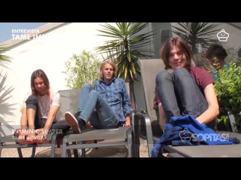 Tame Impala Interiew - Sopita