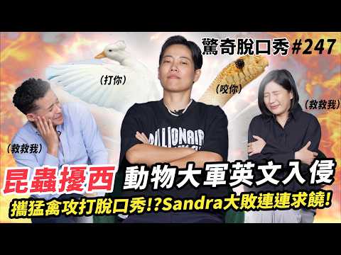 台大昆蟲系 昆蟲擾西 帶鴨鴨學英文？Sandra無法直視ＸＸ？擾西對寵物蟑螂和普通蟑螂雙標？| ( ft.  @deethebugbuff6953  ）驚奇脫口秀#247