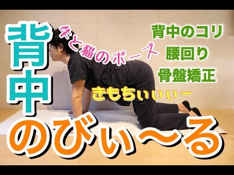 【字幕付】ウエストダウン！？背中と腰のストレッチでウエストが引き締まる！？背中・腰痛に効果！