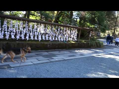 ４箱根神社