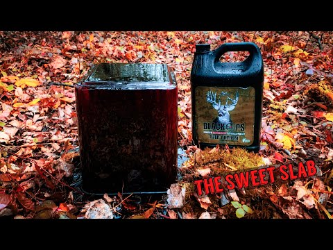 We left a MOLASSES COVERED Salt Lick in the Woods for a Month. Here's what happened! Trail Camera