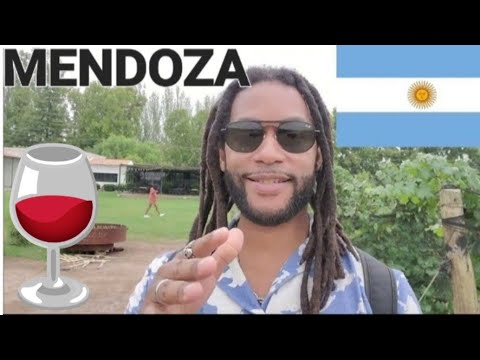 #africanamerican 🇺🇸 IN ARGENTINA 🇦🇷: Mendoza Wine Tours+ Parque San Martin|AFRO-ARGENTINO